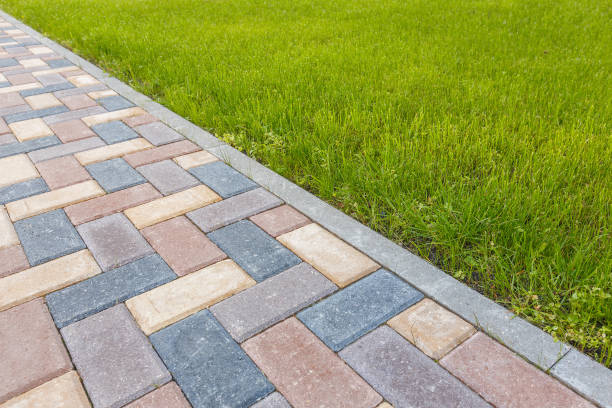 Best Driveway Paving Contractor  in Rockwell, AR